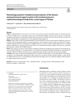 Hematology patients’ metaphorical perceptions of the disease and psychosocial support needs in the treatment process: a phenomenological study from a rural region of Türkiye