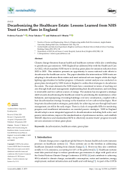 Decarbonizing the healthcare estate: lessons learned from NHS Trust green plans in England