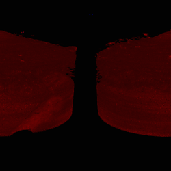 Micro-CT Visualisation of a Jet Injected Tissue Sample