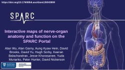 Interactive maps of nerve-organ anatomy and function on the SPARC Portal