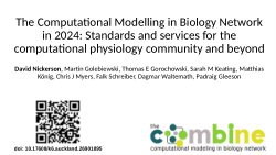 The Computational Modelling in Biology Network in 2024: Standards and services for the computational physiology community and beyond