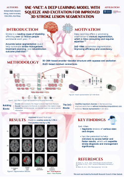 Mishaim Malik: SnE-VNet: A Deep Learning Model with Squeeze and Excitation for Improved 3D Stroke Lesion Segmentation