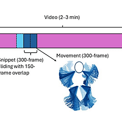 An example of 300-frame snippet sliding with 150-frame overlap and corresponding movement trajectories
