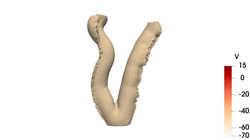 Simulation videos