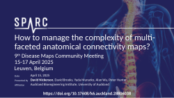 How to manage the complexity of multi-faceted anatomical connectivity maps?