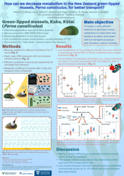 Chun Fai Martin Cheng: How can we decrease metabolism in the New Zealand green-lipped mussels, Perna canaliculus, for better transport?