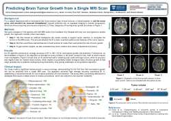 Nima Sadeghzadeh: Predicting Brain Tumor Growth from a Single MRI Scan