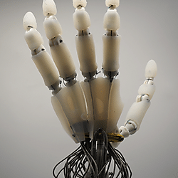 Masahiro Kobayashi: Anthropomorphic Robotic Hand