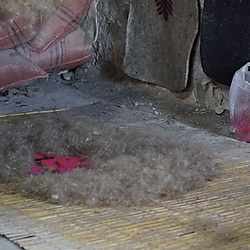 Layering of carded wool