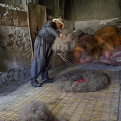 Adding carded wool