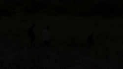 Harvesting wood used in fish trap making