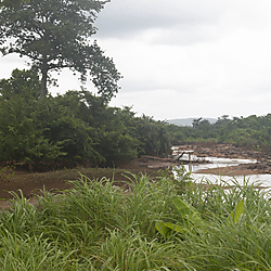 Volta River downstream of the Bui Dam