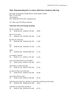 Demonstrating how to remove fish from a basketry fish trap