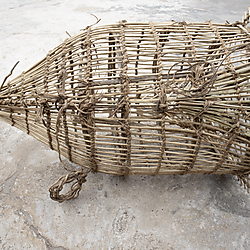 Basketry fish trap made by Ewe fishermen, Akanyakrom, 2022
