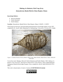Making of a Basketry Fish Trap (Exa), Akanyakrom, Banda District, Bono Region, Ghana