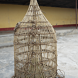 Basketry fish trap made by Ewe fishermen, Akanyakrom, 2022