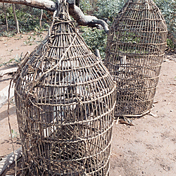 Basketry fish trap used by Ewe fishermen, Agbegikrom South, 1982