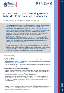 PISCES Living Labs: Co-creating solutions to tackle plastic pollution in Indonesia