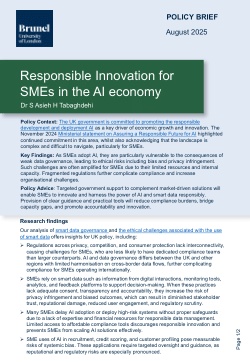Responsible Innovation for SMEs in the AI economy