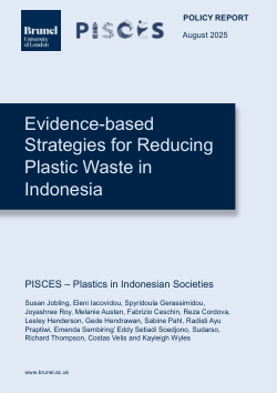 Evidence-based Strategies for Reducing Plastic Waste in Indonesia