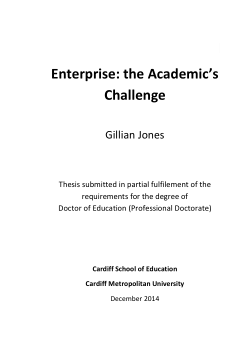 Enterprise: the academic's challenge