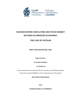 Macroeconomic indicators and stock market returns in emerging economies: The case of Vietnam