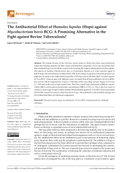 The Antibacterial Effect of Humulus lupulus (Hops) against Mycobacterium bovis BCG: A Promising Alternative in the Fight against Bovine Tuberculosis?