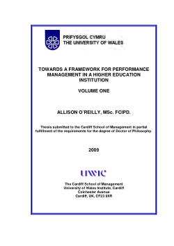 Towards a framework for performance management in a Higher Education institution