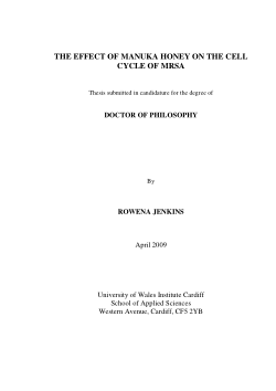 The Effect of Manuka Honey on the Cell Cycle of MRSA