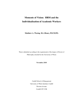 Moments of Vision: HRM and the Individualisation of Academic Workers