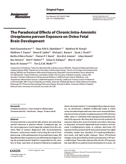 The Paradoxical Effects of Chronic Intra-Amniotic Ureaplasma parvum Exposure on Ovine Fetal Brain Development