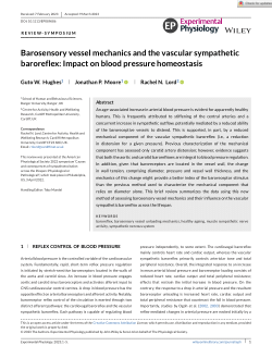 Barosensory vessel mechanics and the vascular sympathetic baroreflex: Impact on blood pressure homeostasis