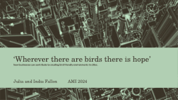 Wherever there are birds, there is hope’: how businesses can contribute to creating bird friendly environments in cities