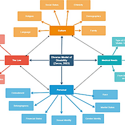 The Zecca Model - A Diverse Holistic Approach to Disability