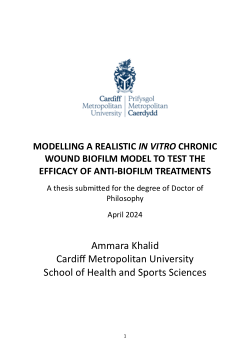 Modelling a realistic in vitro chronic wound biofilm model to test the efficacy of anti-biofilm treatments