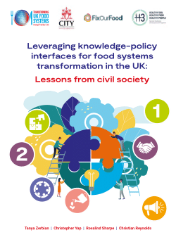 Leveraging knowledge-policy interfaces for food systems transformation in the UK: Lessons from civil society
