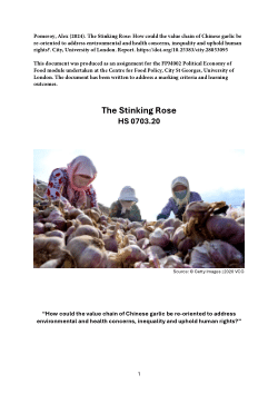 The Stinking Rose: How could the value chain of Chinese garlic be re-oriented to address environmental and health concerns, inequality and uphold human rights?