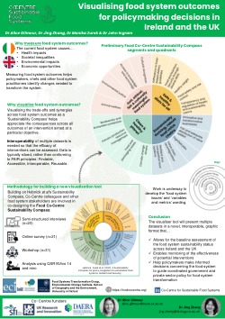 Visualising food system outcomes for policymaking decisions in Ireland and the UK