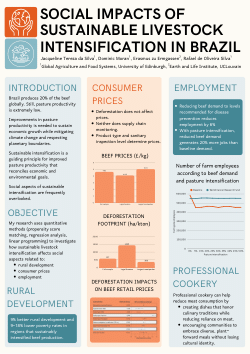 Social impacts of sustainable livestock intensification in Brazil