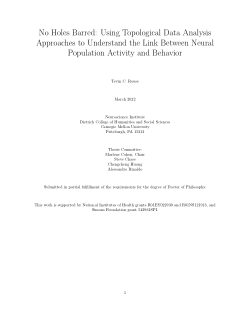 No Holes Barred: Using Topological Data Analysis Approaches to Understand the Link Between Neural Population Activity and Behavior