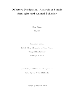 Olfactory Navigation: Analysis of Simple Strategies and Animal Behavior