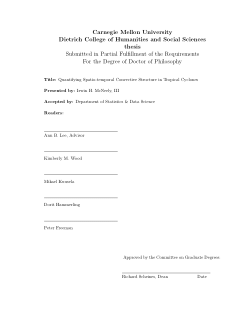 Quantifying Spatio-temporal Convective Structure in Tropical Cyclones