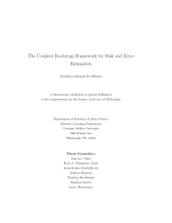 The Coupled Bootstrap Framework for Risk and Error Estimation