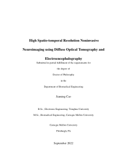 High Spatio-temporal Resolution Noninvasive Neuroimaging using Diffuse Optical Tomography and Electroencephalography