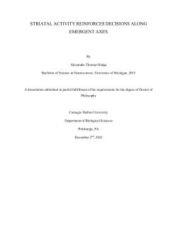 Striatal Activity Reinforces Decisions Along Emergent Axes