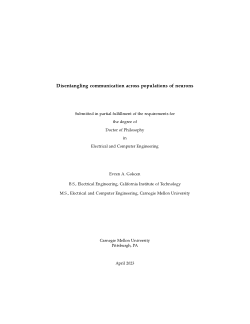 Disentangling communication across populations of neurons
