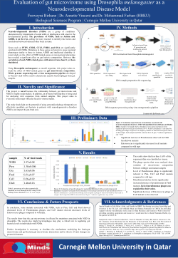Evaluation of gut microvirome in Drosophila models for mutations associated with neurodevelopmental disorders