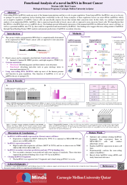 Functional Analysis of a novel lncRNA in Breast Cancer