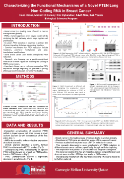 Characterizing the Functional Mechanisms of a Novel PTEN Long Non-Coding RNA in Breast Cancer