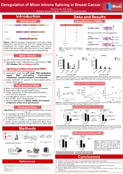 Deregulation of Minor Introns Splicing in Breast Cancer
